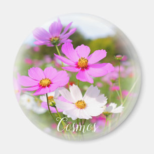 Íman Cosmos