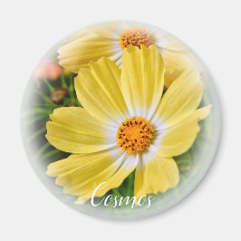 Íman Cosmos マ グ ネ ト