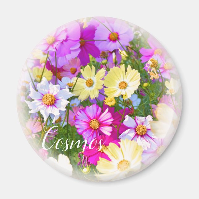 Íman Cosmos マ グ ネ ト (Frente)