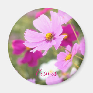 Íman Cosmos [Imagem Círculo]