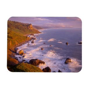 Íman Costa de Redwoods, Califórnia