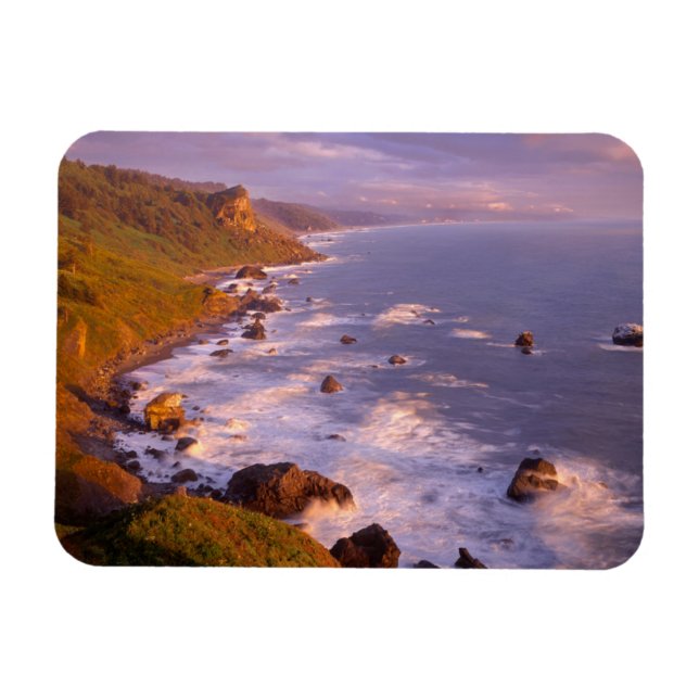 Íman Costa de Redwoods, Califórnia (Horizontal)