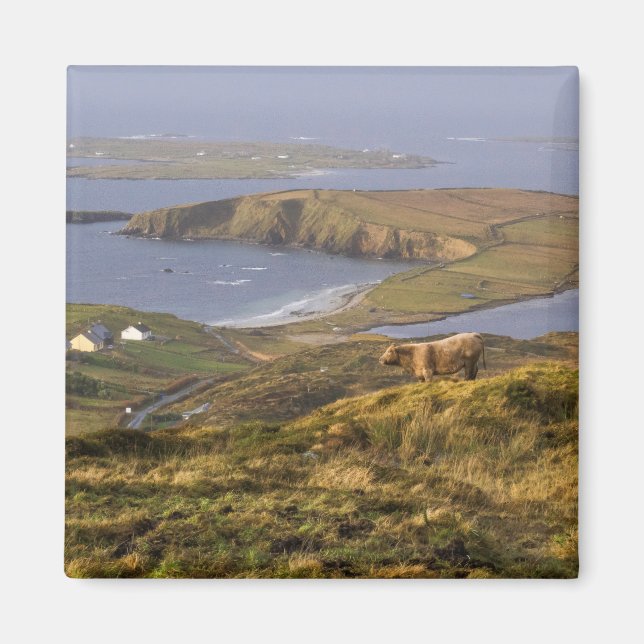 Íman Costa Irlandesa Pastoral (Frente)