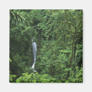 Íman Costa Rica, área do vulcão Arenal, pontes de enf