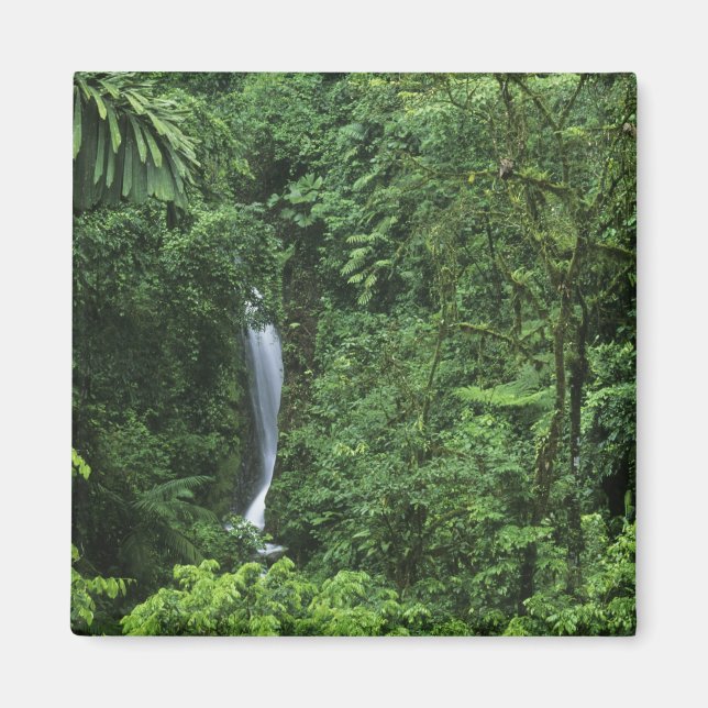 Íman Costa Rica, área do vulcão Arenal, pontes de enfor (Frente)