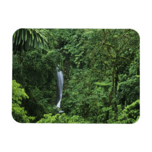 Íman Costa Rica, área do vulcão Arenal, Pontes Pendurad