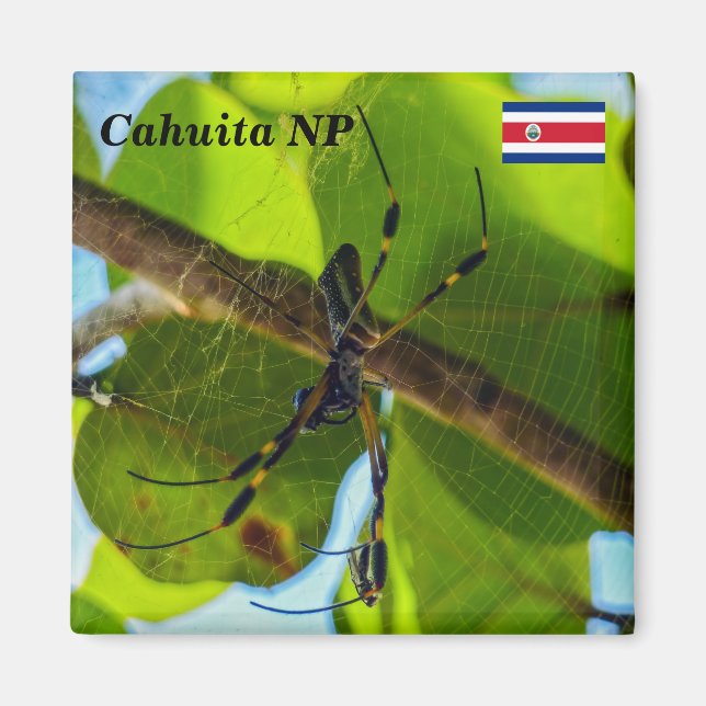 Íman Costa Rica, Cahuita NP - Aranha Ouro (Frente)