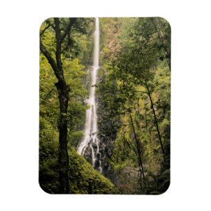 Íman Costa Rica, Ilha do Coco, Cachoeira da Baía Wafer