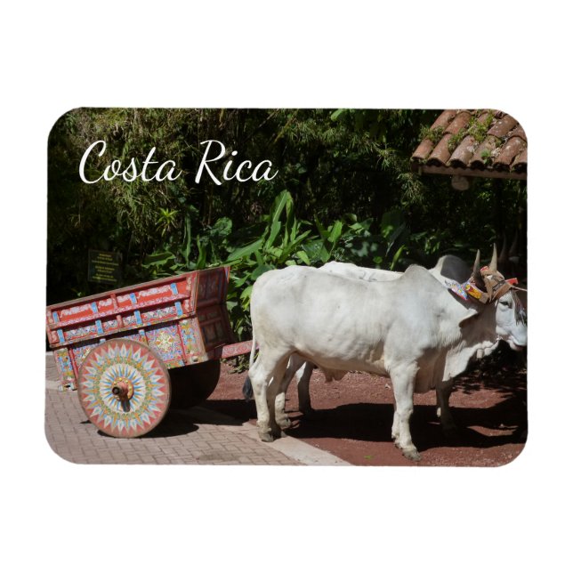 Íman Costa Rica Oxcart (Horizontal)
