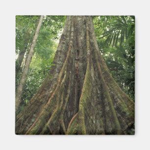 Íman Costa Rica, Parque Nacional Corcovado, Apoiada