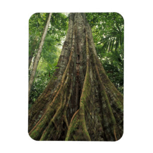 Íman Costa Rica, Parque Nacional Corcovado, Apoiado