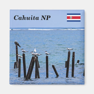 Íman Costa Rica, parque nacional de Cahuita -