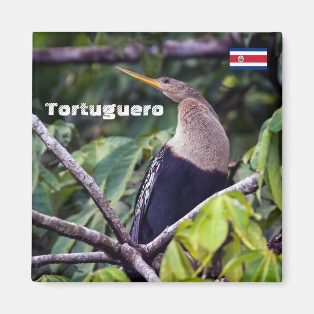 Íman Costa Rica, Tortuguero - Anhinga (Frente)