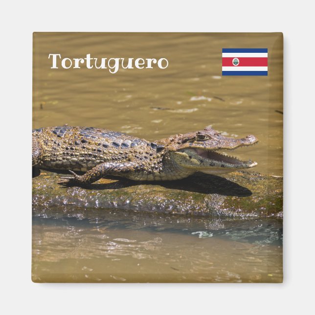 Íman Costa Rica, Tortuguero - Crocodilo sorridente (Frente)
