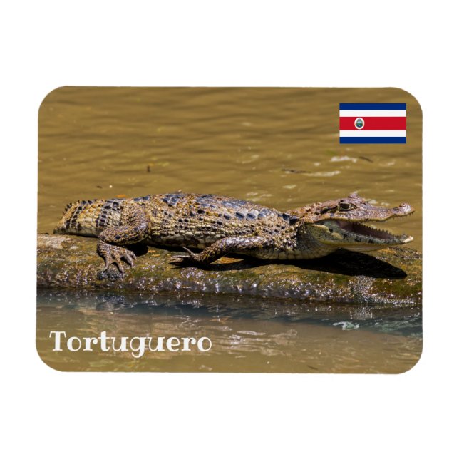 Íman Costa Rica, Tortuguero - Crocodilo sorridente (Horizontal)