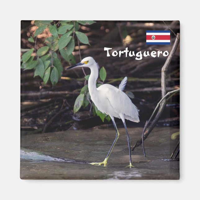 Íman Costa Rica, Tortuguero - Egretta thula (Frente)