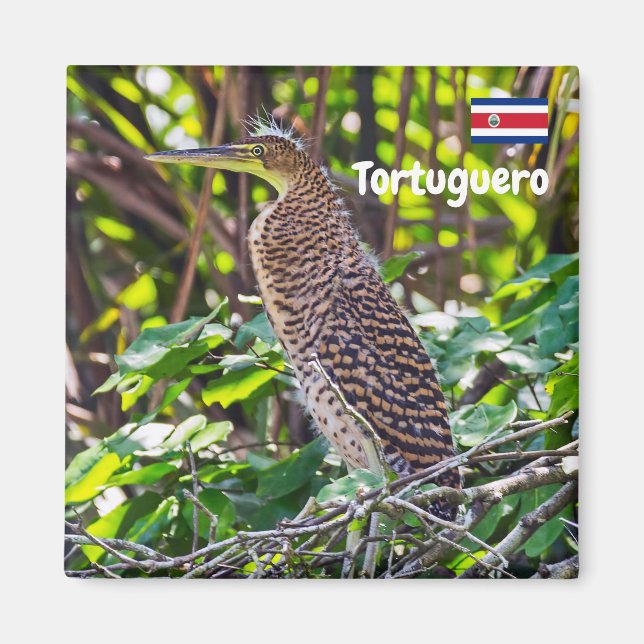 Íman Costa Rica, Tortuguero - Heron (Frente)