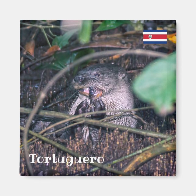 Íman Costa Rica, Tortuguero - Peixe que come peixe (Frente)