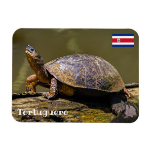 Íman Costa Rica, Tortuguero - Rio Tartaruga