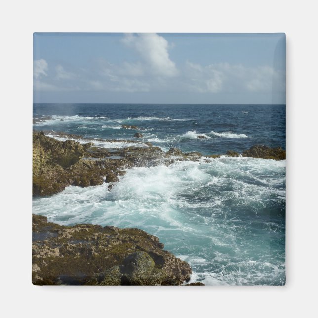 Íman Costa Rocky de Aruba e Oceano Azul (Frente)