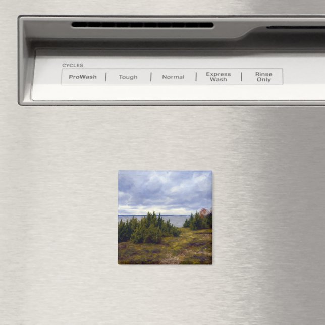 Íman Costa Tranquila de Vormsi (In Situ (Dishwasher))