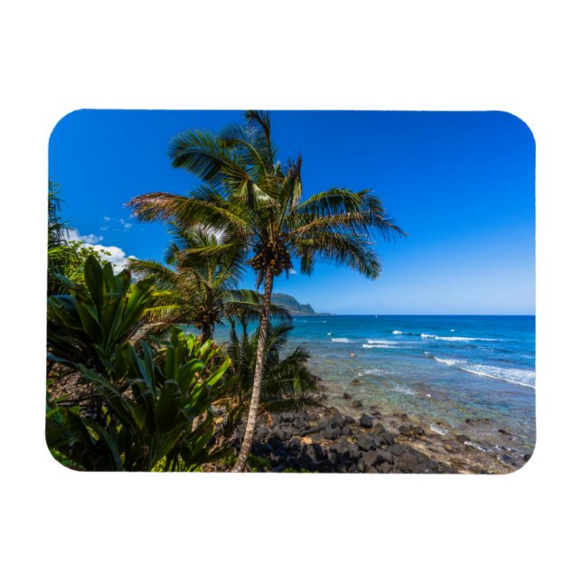 Íman Costa tropical (Horizontal)