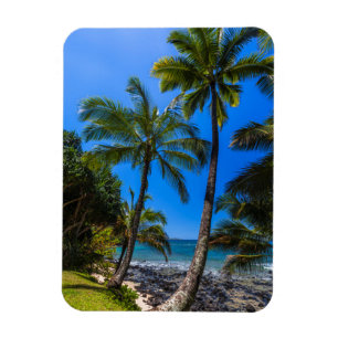 Íman Costa tropical 2