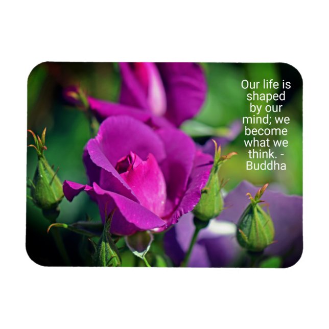 Íman Cota Motivacional Rosa Roxo (Horizontal)