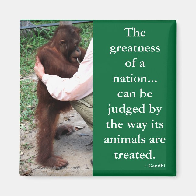 Íman Cotação Animal de Gandhi (Frente)