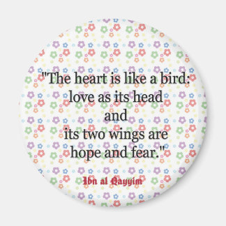 Íman Cotas Magnéticas