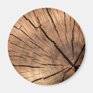 ÍMAN COTO DE ÁRVORE