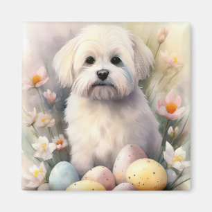 Íman Coton De Tulear com Feriado de Ovos de Páscoa