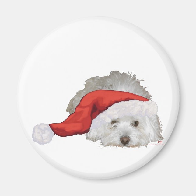 Íman Coton de Tulear - Esperando (Frente)