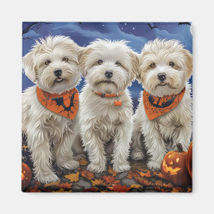 Íman Coton De Tulear Halloween Spooky