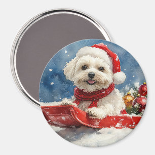 Íman Coton De Tulear no Trenó Deixe Nevar Natal