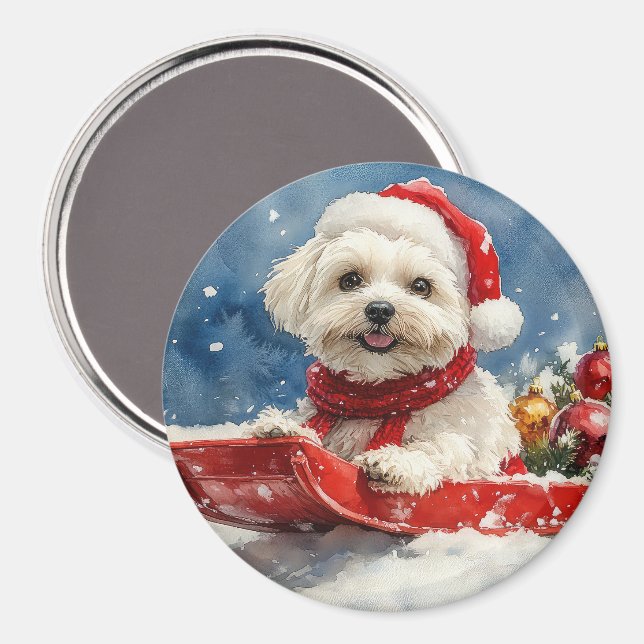 Íman Coton De Tulear no Trenó Deixe Nevar Natal (Front/Back)