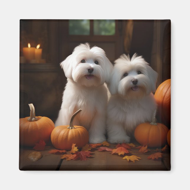 Íman Coton De Tulear Puppy Autumn Delight Pumpkin (Frente)
