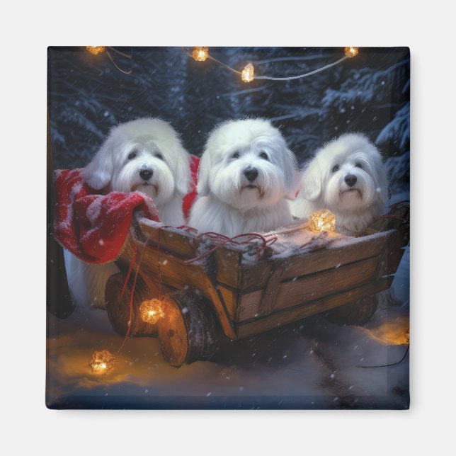 Íman Coton De Tulear Snowy Sleigh Decência De Natal (Frente)