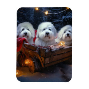 Íman Coton De Tulear Snowy Sleigh Decência De Natal