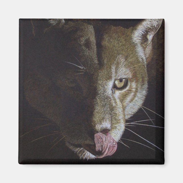 Íman Cougar Night (Frente)