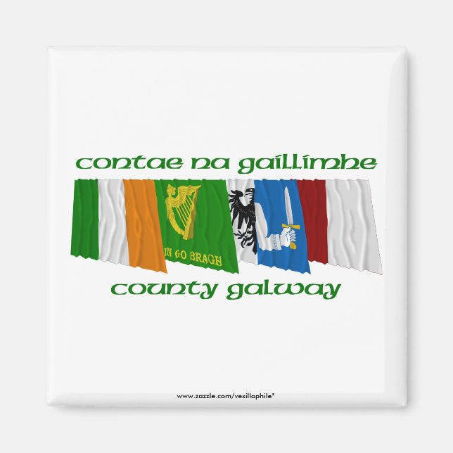 Íman County Galway Flags (Frente)