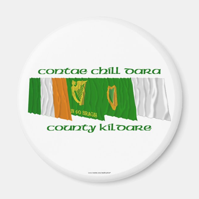 Íman County Kildare Flags (Frente)