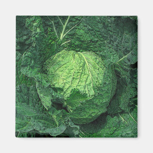 Íman Couve de Savoy