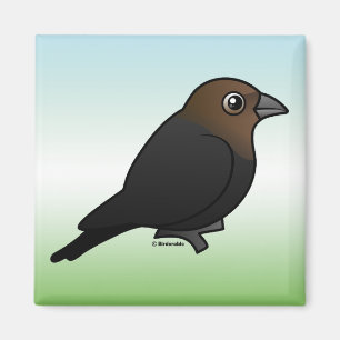 Íman Cowbird Brown-dirigido