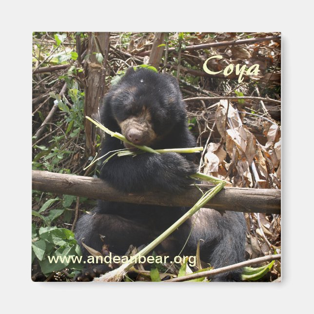 Íman Coya Magnet (Frente)