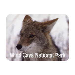 Íman Coyote Face, Parque Nacional da Caverna Eólica, S