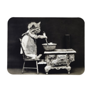 Íman Cozinhar e Baking de Kitten Engraçados e Bonitos