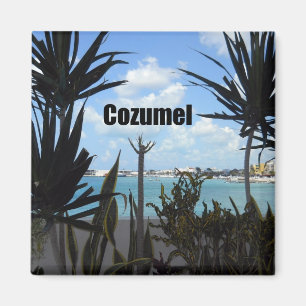 Íman Cozumel