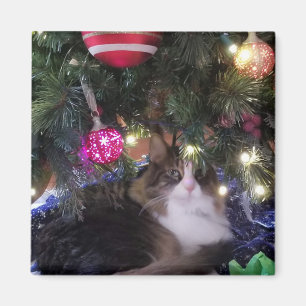 Íman Cozy Cat sob a árvore de Natal