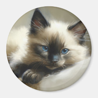 Íman Cozy Companion Siamese Kitten